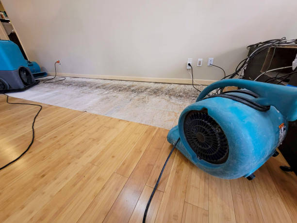 Professional Basement Flood Cleanup technician working in East Orange, NJ